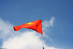 flag of vietnam